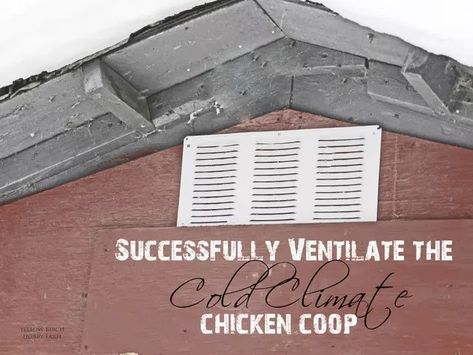 Chickens In The Winter, Small Chicken Coops, Easy Chicken Coop, Chicken Barn, Portable Chicken Coop, Diy Chicken Coop Plans, Chicken Coop Run, Coop Design, Best Chicken Coop