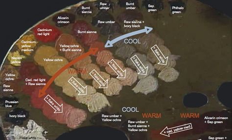 Portrait painting palette from Daniel Greene MA. Tones are premixed to save time when painting a live model. Click on image for larger versi... Painting Skin, Flesh Tones, Oil Painting Videos, Oil Painting Tips, Colour Mixing, Painting Palette, Art Theory, Oil Painting Techniques, Artist Palette