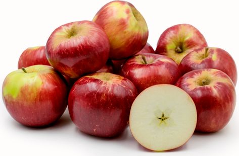 Jonathan Apples Information and Facts Jonathan Apples, Cat Diet, Cat Nutrition, Apple Varieties, Natural Fragrance Oil, Leafy Plants, Apple Sauce, Healthy Eyes, Healthy Fish