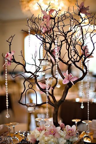 Budget Centerpieces, Tree Branch Centerpieces, Branch Centerpieces Wedding, Affordable Wedding Centerpieces, Branch Centerpieces, Deco Champetre, Tafel Decor, Library Wedding, Tree Centerpieces