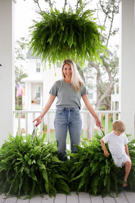 how to get big healthy ferns - Megan Stokes Porch Ferns Hanging Baskets, Caring For Ferns Outdoors, Ferns On Porch, Fern Container Ideas, Hanging Porch Plants, Landscaping With Ferns, Hanging Plants Outside, Hanging Boston Fern, Ferns Plant