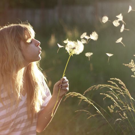 Blowing Dandelion, One Thousand Gifts, A Dandelion, Dandelion Wish, Sun Shining, Art Historian, Engagement Photoshoot, Make A Wish, Picture Perfect