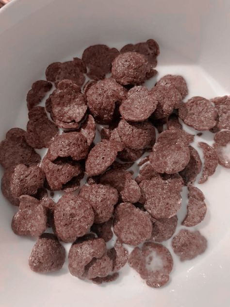 #Cereal#Cococrunch#🗿🗿 Koko Crunch, Cereals Photography, Cereal Aesthetic, Coco Crunch, Crunch Cereal, Dog Food Recipes, Food Animals, Cereal, Coco