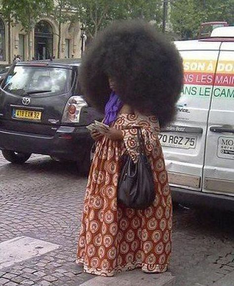 The "You Can't See Me I'm Hiding in a Bush" do. Big Afro, Pelo Afro, Fashion Fail, Black Power, Bad Hair Day, Crazy Hair, Hair Humor, Bad Hair, Big Hair