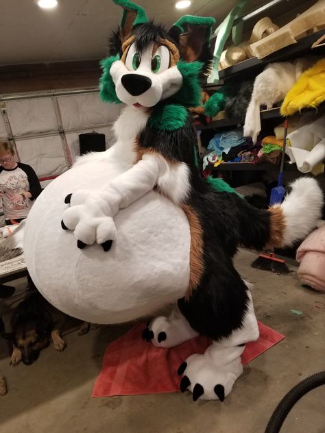 Morefurless Fursuits, Pokemon Fursuit, Plush Fursuit, Vore Art, Cat Fursuit, Fat Furs, Fursuit Tutorial, Fur Suit, Ben Simmons