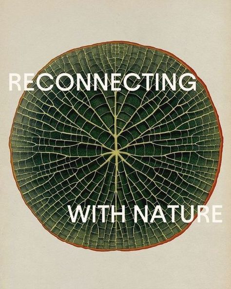 Eco Conscious Aesthetic, Reconnecting With Nature, Ecology Aesthetic, Nature Poster Design, Nature Graphic Design, Touch Designer, We Are Nature, Living In Nature, Nature Crown