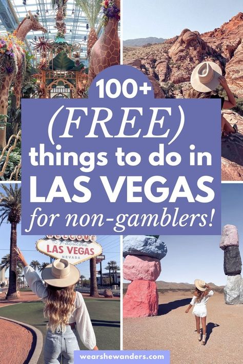 Discover the hidden treasures of Las Vegas with our top 100 free things to do in 2023 & 2024! Escape the casino floors and dive into the city's exciting attractions and events. Don't miss out on the fun—explore Las Vegas like never before! Las Vegas 2023, Vegas 2023, Las Vegas Travel, Vegas Travel, Photography Videos, Las Vegas Vacation, Cheap Things To Do, Vegas Vacation, Las Vegas Blvd