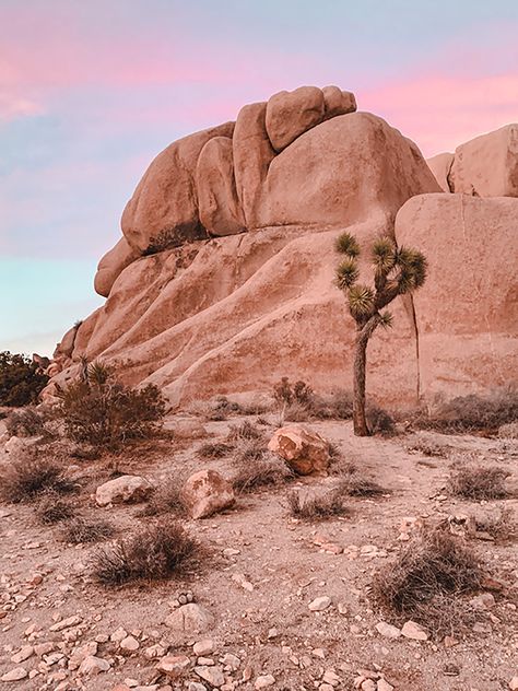 Split Rock Loop Trail in Joshua Tree National Park—Field Guide Desert Aesthetic, Split Rock, Joshua Tree California, Desert Dream, Desert Life, Desert Vibes, Joshua Tree National Park, Field Guide, Zion National Park