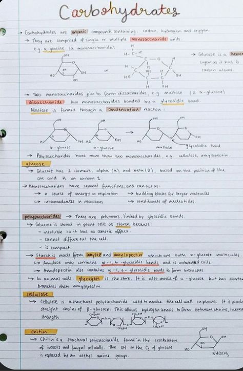 University Of St Andrews, Biochemistry Notes, Study Chemistry, Chemistry Education, Chemistry Classroom, Study Biology, Nurse Study Notes, Teaching Chemistry, Biology Facts