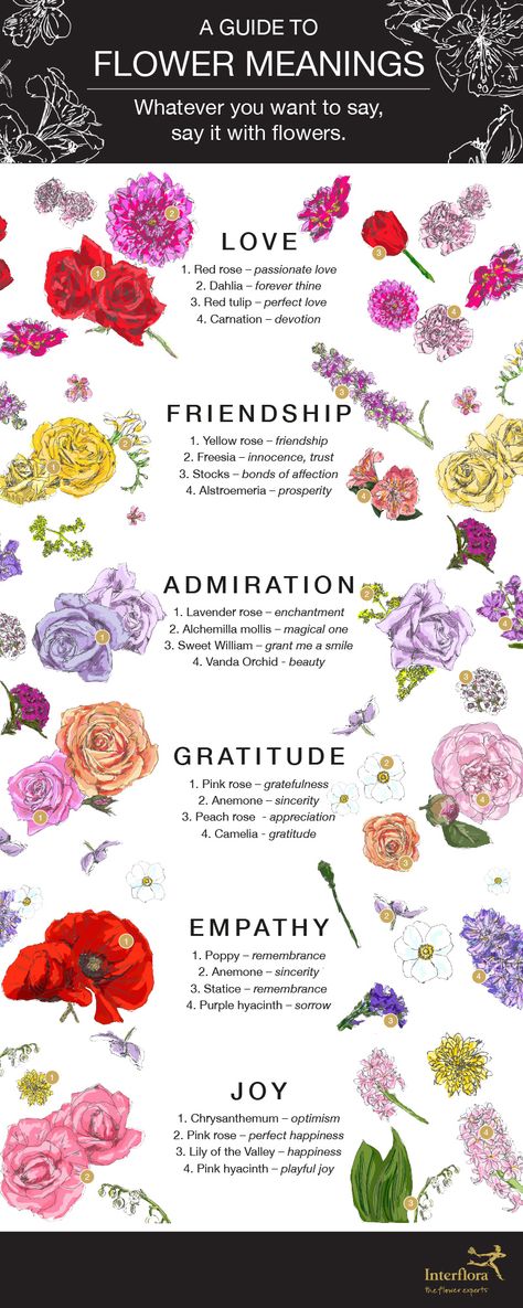 Flower Meanings Infographic - Interflora List Of Flowers Names, Flower Prompts, Types Of Flowers And Meanings, Different Flowers And Their Meanings, Tulip Meaning, Meaningful Flowers, Monthly Flowers, Flowers And Their Meanings, Rose Color Meanings