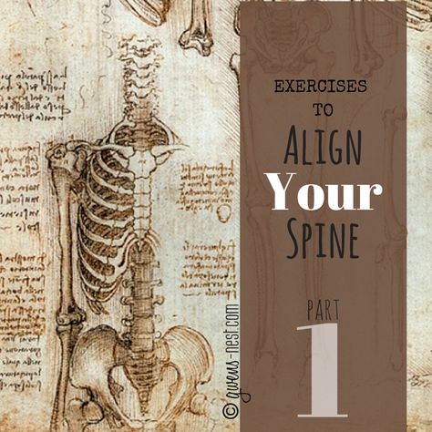 Align Your Spine- Part 1 - Gwen's Nest Spine Alignment, Middle Back Pain, Pilates Moves, Hamstring Stretch, Spine Health, Upper Back Pain, Hip Pain, Low Back Pain, Friends Show