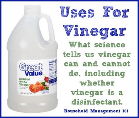 The way you hear it vinegar is the best cleaner for every single thing. While vinegar does a lot of good things, here's an explanation of what it can and cannot do so you use it for the right jobs in your home. {on Household Management 101} Uses For Vinegar, Cleaning Painted Walls, Best Cleaner, Vinegar Uses, Household Management, Homemade Cleaning Solutions, Vinegar Cleaning, Homemade Cleaning Products, Natural Cleaners