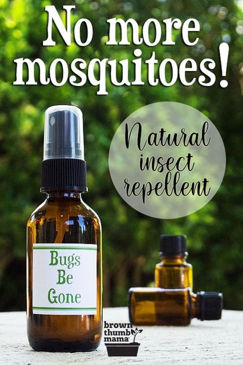 This natural insect repellent keeps the bugs away without without dangerous chemicals like DEET or permethrin. Enjoy your cookouts, hikes, and camping trips without mosquito bites. #NaturalLiving #Nontoxic #DIYideas #BugSpray #Natural Natural Bug Spray Recipe, Insect Repellent Homemade, Homemade Bug Spray, Bug Spray Recipe, Natural Bug Spray, Bug Bite, Natural Mosquito Repellant, Insect Spray, Mosquito Bites