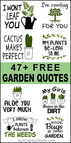 Garden Sayings And Quotes Free Printable, Free Garden Svg Files For Cricut, Plant Pots With Sayings, Crafts For Gardeners, Funny Plant Sayings Pots & Planters, Flower Garden Signs And Sayings, Cricut Garden Signs, Garden Boards Ideas, Plant Signs Decor