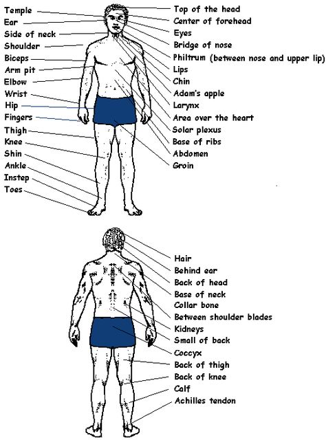 Knowledge of pressure points and pressure point techniques is a useful addition to ones self defense arsenal. When appropriately used, they provide an effective means of controlling an adversary without necessarily inflicting serious injury.   Listed below are a few pressure points on the human body. #RasSpirit Karate Stances, Body Pressure Points, Jiu Jutsu, Krav Maga Techniques, Learn Krav Maga, Self Defense Moves, Pressure Point, Hand To Hand Combat, Self Defense Techniques