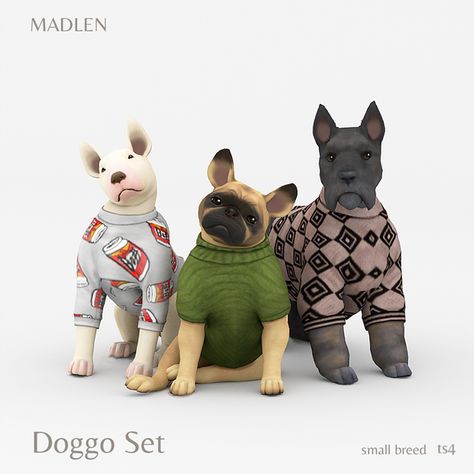 Doggo Set | Madlen on Patreon Sims 4 Pets Patreon, Sims 4 Cc Animals Patreon, Sims 4 Cc Dog Clothes, Sims 4 Pet Cc Patreon, Sims 4 Dog Cc, Sims 4 Pet Cc, Sims 4 Pets Mod, Sims 4 Pack, Mods Sims 4