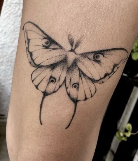 Moth Above Knee Tattoo, Butterfly Knee Tattoos Women, Moth Tattoo Sketch, Moth Knee Tattoo, Butterfly Moth Tattoo, Thumb Tattoos, Moth Tattoo Design, Moth Tattoo, Knee Tattoo