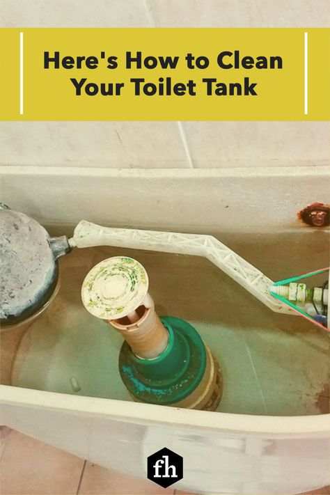 Here's How to Clean Your Toilet Tank Vinegar In Toilet Tank, Cleaning Toilet Tank, Toilet Tank Cleaner, House Maintenance, Cleaning Methods, How To Clean Rust, Diy Toilet, Cleaning Tricks, Diy Cleaning Hacks