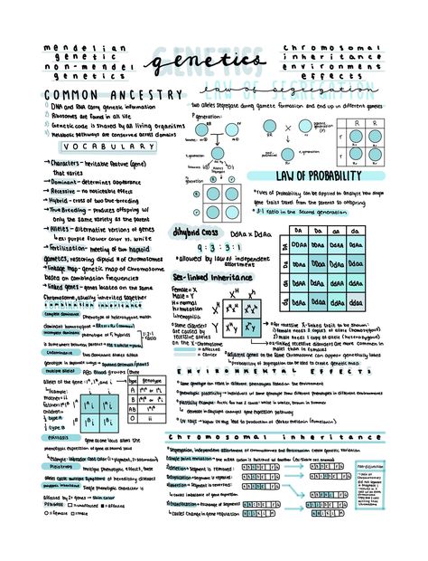 Ace your AP Biology AP Exam with this complete, condensed review of the material covered in Unit 5 of AP Biology! Ap Exam, Biochemistry Notes, Review Notes, Learn Biology, Biology Revision, Study Biology, School Study Ideas, Nurse Study Notes, Study Tips For Students