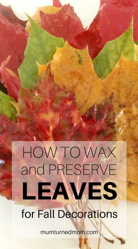 Waxing Fall Leaves, Preserve Leaves Wax Paper, Dried Leaves Crafts, Wax Paper Leaves, Waxing Leaves, Waxed Leaves, Preserving Leaves, How To Preserve Leaves, Preserve Leaves