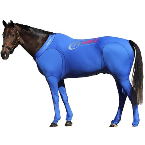 Blue - Recovery Suit for Horses.  How to get a horse on a blue board! Equestrian Tack, English Horse Tack, Dover Saddlery, Horse Info, Horse Anatomy, English Horse, Western Horse Tack, Cow Pictures, Horse Tips