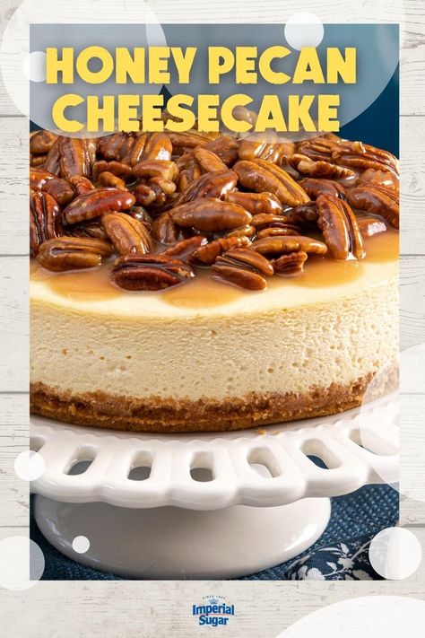 Coffee With A Friend, Pecan Topping, Pecan Cheesecake, Cheesecake Dip, Homemade Cheesecake, Oh Honey, Classic Cheesecake, Honey Almonds, Spring Desserts