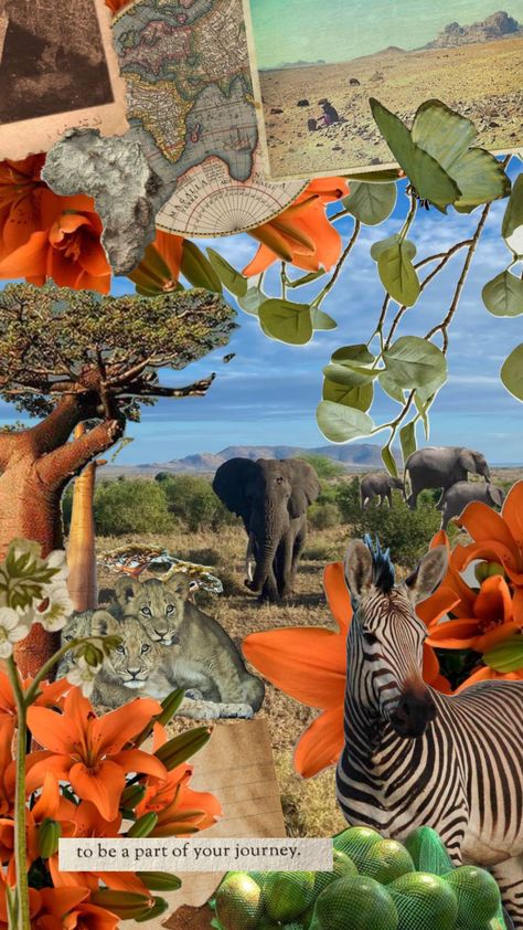 Fashion Wallpaper Aesthetic, Safari Art, African Pattern Design, Travel Collage, Instagram Collage, Vision Board Pictures, South Africa Travel, Africa Safari, Plant Wallpaper