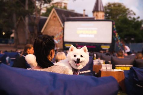 Dog-Friendly Openair Cinemas Perth Ends April 14 | Australian Dog Lover Dog Festival, Dog Events, Pet Event, Grub Hub, Australian Dog, Dog Trends, Cinema Experience, American Express Card, Perth Western Australia