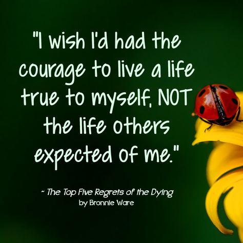 Bronnie Ware, Toxic Families, True To Myself, Toxic Family, Top Five, I Wish I Had, Better Life Quotes, Monday Motivation, Better Life