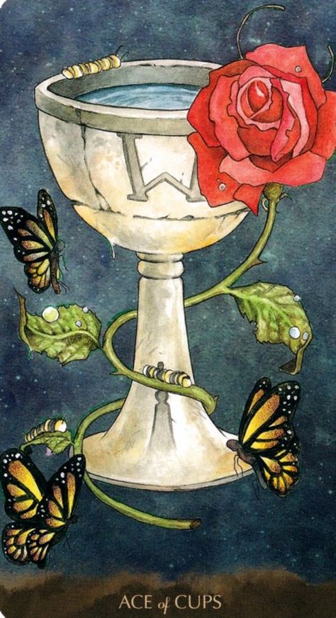 Ace of Cups - Card from Tarot of the Little Prince Deck Ten Of Cups, Cups Tarot, Le Tarot, Tarot Book, Albrecht Dürer, Tarot Cards Art, Rider Waite, Tarot Card Decks, Minor Arcana