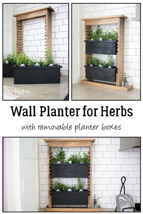 This cute little wall planter for herbs has the space for a few culinary herb plants to have fresh herbs ready for any recipe! This indoor herb garden can be used outside as well and when used indoors has removable planter boxes to take outside or put in the window sill to get sunshine! The perfect DIY project for the gardener or chef in your life! Hang it on the wall or set it on the counter if you have the space! Build yourself a wall planter for herbs with the free plans available! Kitchen Herb Garden Indoor Window Sill, Windowsill Garden Indoor, Tabletop Herb Garden, Herb Garden Boxes, Herb Planter Box, Herb Rack, Herb Garden Planter, Small Herb Gardens, Herb Plants