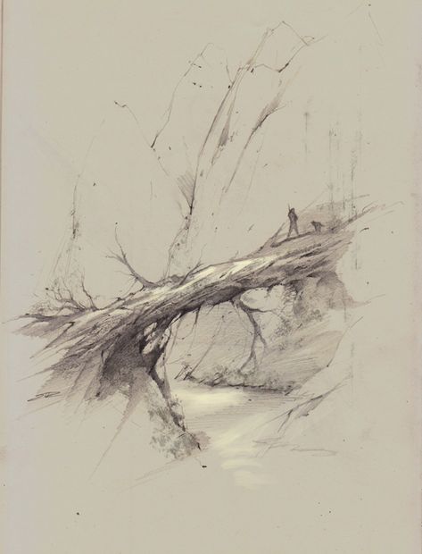 Tree Drawings Pencil, Fallen Tree, Nature Sketch, Tree Sketches, Landscape Sketch, Air Painting, Old Trees, Landscape Drawings, Tree Drawing