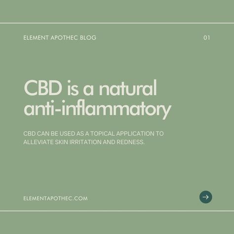 CBD, or cannabidiol, can be an effective, natural solution to many of the most common skincare problems, from acne to wrinkles to dry skin. CBD can be an excellent addition to your existing daily regimen and skincare products. Read on to learn about 5 benefits of CBD-infused skincare—and how to use CBD oil safely and effectively in your daily routine. Read more by clicking the link below. Morning Night Routine, Skincare Problems, Esthetician School, Aesthetic Wellness, Cbd Benefits, Bday Party Kids, Natural Pain Relievers, Cbd Oil Benefits, Endocannabinoid System