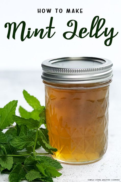 Apple Mint Jelly Recipe, Jelly Without Pectin, Mint Jelly Recipe, Mint Growing, Apple Mint, Jelly Recipe, Mint Extract, Mint Recipes, Mint Plants