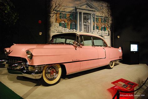 Elvis' Pink Cadillac at Graceland | Flickr - Photo Sharing! Elvis Pink Cadillac, Plastic Pink Flamingos, Elvis Presley House, Elvis Presley Graceland, Pink Cadillac, Cadillac Ats, Cadillac Fleetwood, Car Museum, Kid Friendly Trips