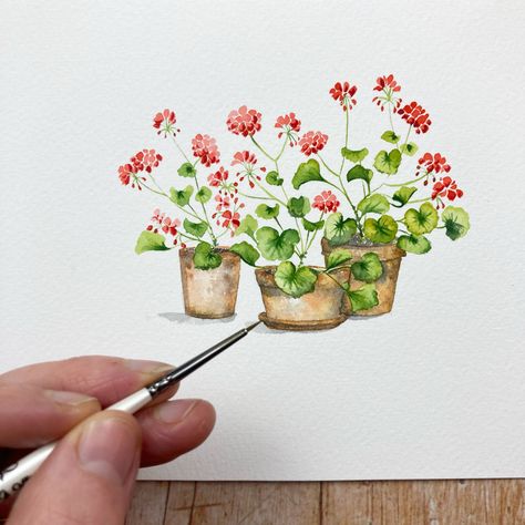 Seed Planting, Exeter Devon, Watercolor Flowers Tutorial, Watercolor Paintings For Beginners, Watercolor Lessons, Diy Watercolor Painting, Watercolor Projects, Watercolor Flower Art, Watercolor Painting Techniques