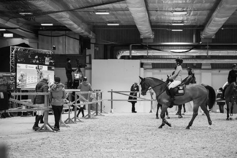 Show jumpers watching the live stream of the Pize of Mips Grand Prix in the warm up ring at Gothenburg Horse Show. The large screen made it easy for multiple riders to watch while warming up for their class. #horseshow #GothenburgHorseShow #equestrian #showjumper #horseshowphotography