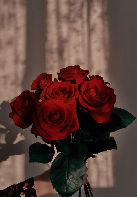 Flowers Red Rose, Roses Aesthetic, Rose Aesthetic, Red Rose Bouquet, Nothing But Flowers, Flowers Red, Rose Bouquet, Red Rose, Red Roses