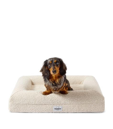 From beautiful boucle bolster dog beds to chic luxury boucle crate cushions and more, check out 7 stylish boucle dog beds for pampered pups and design-savvy pet parents right here! - PICTURED Feat. the Teddy London Bouclé Dog Bed via Harrods Boucle Bed, Stylish Dog Beds, Cheap Dog Beds, Medium Dog Bed, Cama Pet, Bed White, Dog List, Dog Beds For Small Dogs, Cheap Dogs