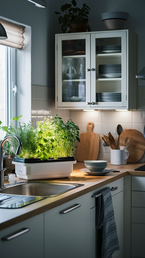 Elevate your cooking experience with a beautiful herb garden right on your countertop! This IKEA-inspired kitchen features a sleek VADHOLMA island and charming FÄRGRIK dinnerware, making meal prep both functional and stylish. The playful BODBYN glass door cabinet adds a touch of personality, while under-cabinet lighting creates the perfect ambiance for culinary creativity. Ready to bring fresh flavors to your dishes? Discover how to create your own herb oasis today! #HerbGarden #IKEAStyle #KitchenInspo #CulinaryCreativity #HomeCooking #FreshHerbs #FunctionalDesign Beautiful Herb Garden, Ikea Inspired Kitchen, Kitchen Herb Garden, Glass Door Cabinet, Herb Garden In Kitchen, Kitchen Features, Glass Cabinet Doors, Door Cabinet, Under Cabinet Lighting