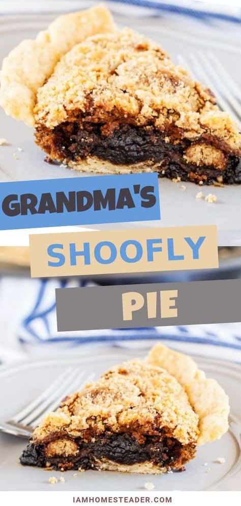 Shoofly Pie Recipe, Decadent Pies, Homestead Hacks, Pies Easy, Desserts Pie, Shoofly Pie, Homesteading Recipes, Molasses Recipes, Baking Recipes Pie