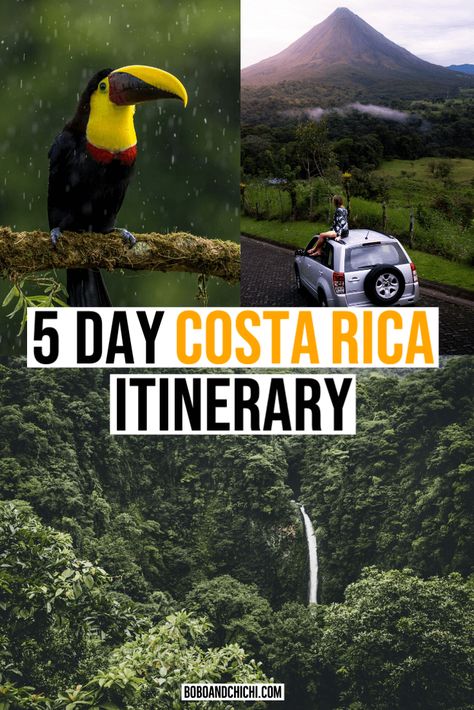 Incredible 5 Days In Costa Rica Itinerary - Bobo and ChiChi Travel Resorts, Costa Rica Itinerary, Tortuguero National Park, Cost Rica, Arenal Costa Rica, Costa Rica Honeymoon, Costa Rica Travel Guide, Costa Rica Trip, Nature Destinations