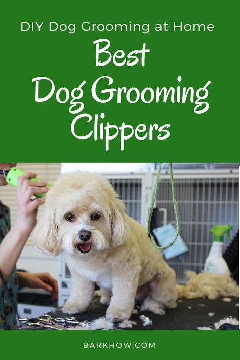 Dog Grooming At Home, Yorkie Hairstyles, Best Small Dogs, Cat Groomer, Dog At Home, Dog Grooming Clippers, Dog Clippers, Dog Cover, Dog Haircuts