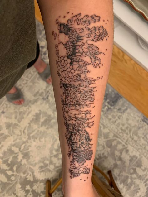 "Coral reef forearm tattoo done by Kari Rhoades at Neon Dragon Tattoo in Cedar Rapids, Iowa. (Original design by me)" by kameahh on Reddit Sea Anemone Tattoo, Ocean Patchwork Tattoo, Coral Tattoo Reef, Coral Tattoos, Coral Reef Tattoo, Ocean Life Tattoos, Coral Tattoo, Neon Dragon, Ocean Sleeve