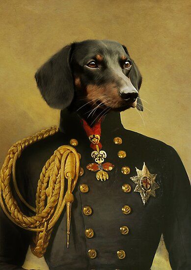 historical portrait golden retriever • Millions of unique designs by independent artists. Find your thing. Labrador Painting, Pets Painting, Dachshund Portrait, King Portrait, Arte Dachshund, Animals Portrait, Royal Dog, Dogs Painting, Portrait Classic