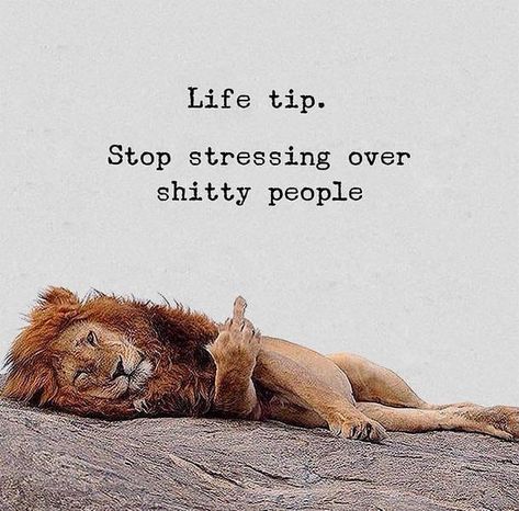 Inspirational content daily 🙏 on Instagram: “@mind.developer 👉stop stressing over shitty people. - Follow @mind.developer for more!💸 - Tag  Like  Share ✅ - Follow @mind.developer 💵…” Cocky Quotes, Get Off My Lawn, Lion Quotes, Weird Quotes Funny, Truth Of Life, Empowerment Quotes, Motivation Success, Real Life Quotes, News Website