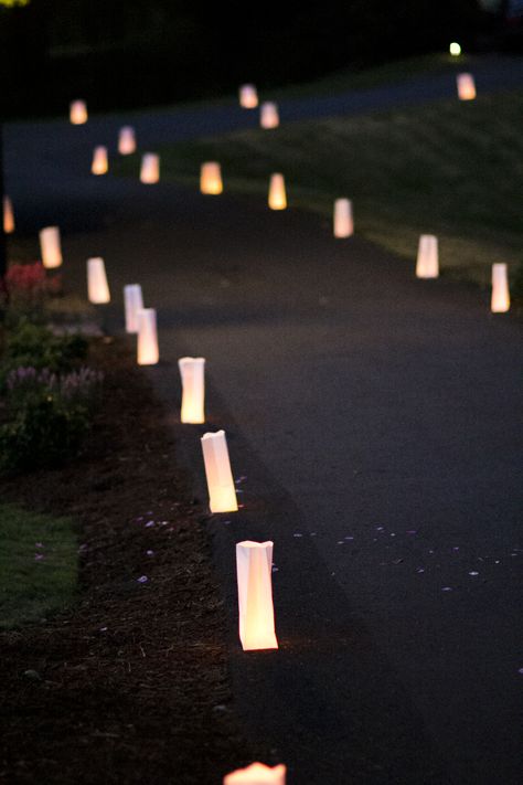 fill white paper bags with sand and one tea candle and let it light your way! Paper Bag Candles, White Glow Sticks, Luminaries Paper Bag, Candle Path, Rapunzel Quince, Paper Bag Lanterns, Wedding Rice, Halloween Disco, Outdoorsy Wedding