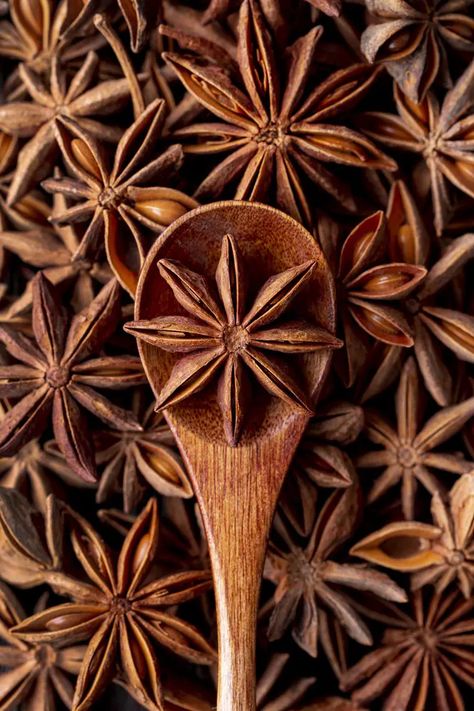 Is Star Anise Good for You? 10 Health Benefits Star Anise Benefits, Recipe Book Covers, Premium Spices, Anise Seed, Herbal Recipes, Spice Shop, Organic Spice, Herbs For Health, Christmas Time Is Here