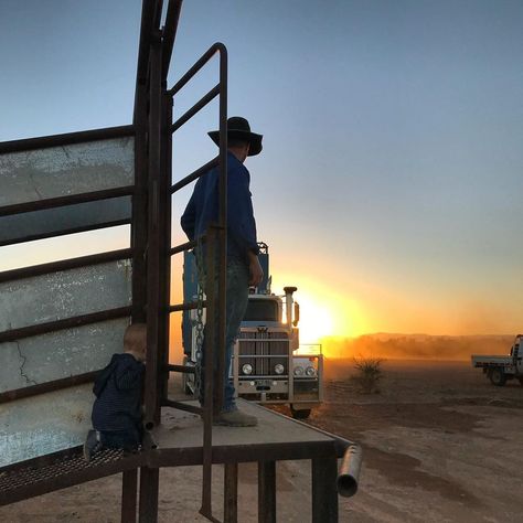 🤠💙Everyday is an adventure when you grow up on a cattle station 💙🤠! Roy is watching on every chance he gets and couldn’t wait for the… Cattle Station, Cowboy Life, Outback Australia, Ranch Life, Watch This Space, 2025 Vision, Northern Territory, Gap Year, Summer Pictures