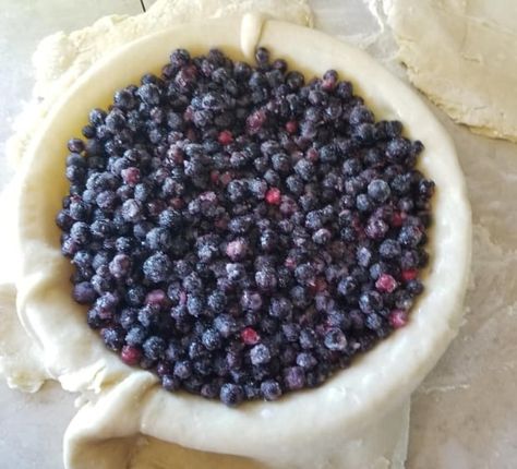 'Not too sweet, not too tart' this Saskatoon berry pie is perfect Saskatoon Pie, Pies Blueberry, Saskatoon Recipes, Saskatoon Berry Recipe, Saskatoon Berry Pie, Berry Pie Recipe, Blueberry Pie Recipe, Saskatoon Berry, Baking Homemade